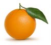 Fotolia_11313277_M.jpg Fotolia_11313277_M.jpg